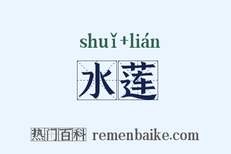 水莲是什么意思的图片